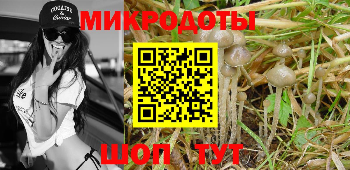 Галлюциногенные грибы прущие грибы Можга