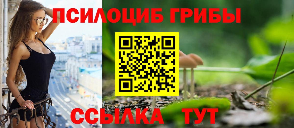 Можга  Псилоцибиновые грибы прущие грибы  Вход с VPN 